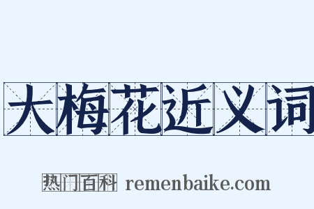 大梅花近义词是什么意思的图片
